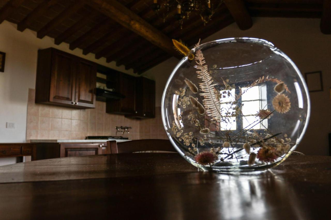 Agriturismo Bombina Montisi Eksteriør bilde